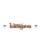 Campioni di Kamigawa
